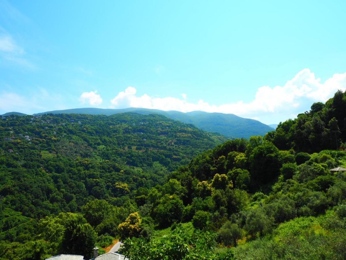 Felitsia Apartments & Studios Agios Ioannis  Exterior foto