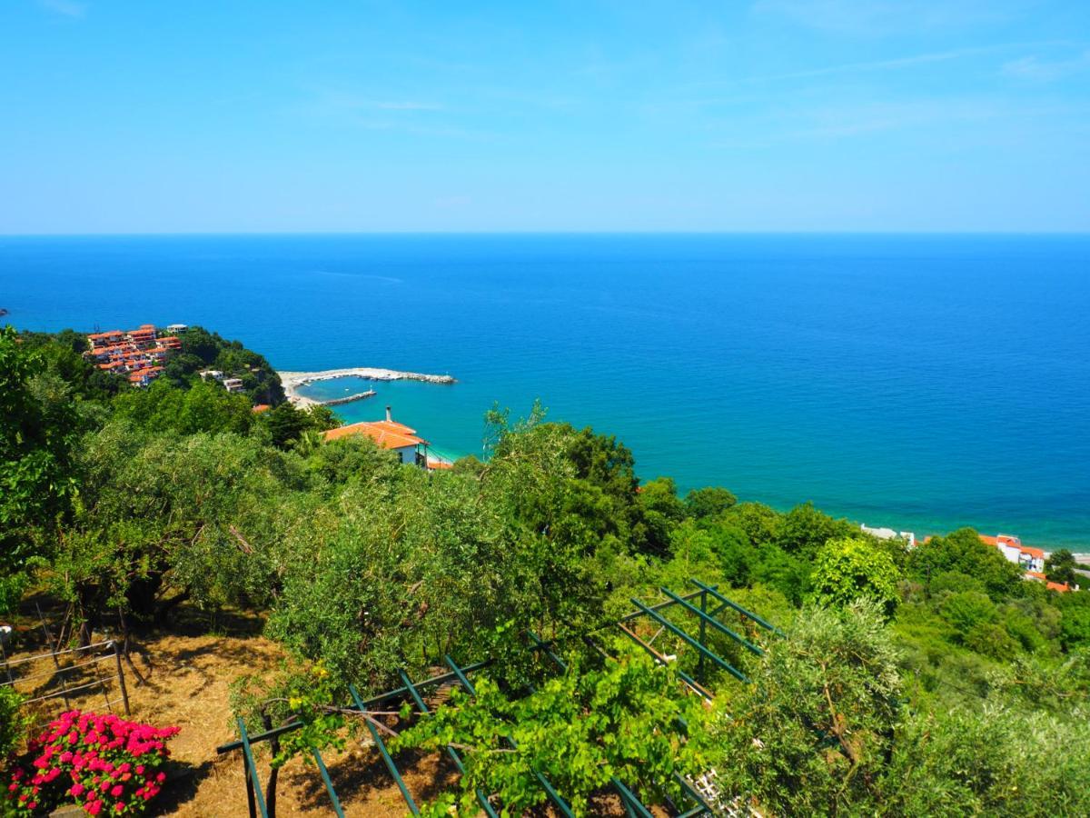 Felitsia Apartments & Studios Agios Ioannis  Exterior foto