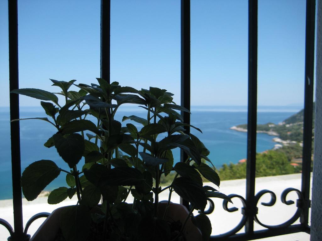 Felitsia Apartments & Studios Agios Ioannis  Exterior foto