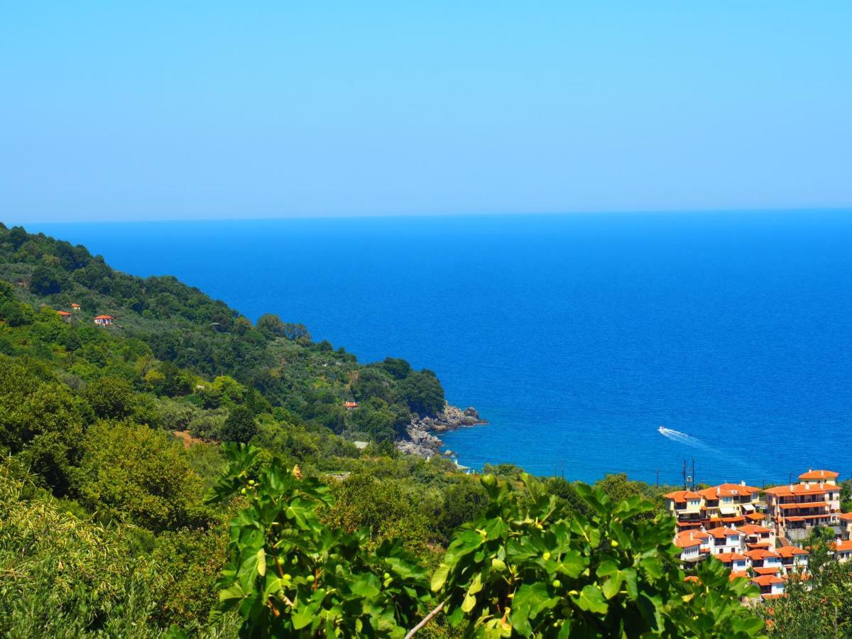 Felitsia Apartments & Studios Agios Ioannis  Exterior foto