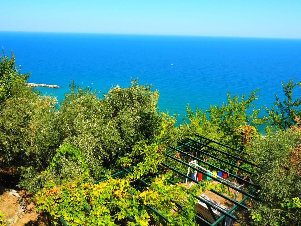 Felitsia Apartments & Studios Agios Ioannis  Exterior foto